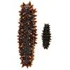 Russian Pure Light-Dried Deep-Sea Sea Cucumber, All Specifications, Factory Direct Supply, Fully Dried, 15 Times Expansion, Small Wholesale Seafood