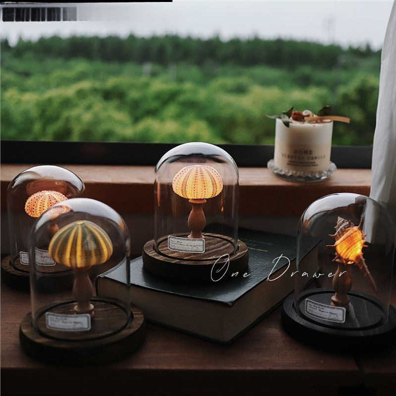 Ocean Island Retro Shell Sea Urchin Conch Lamp Night Light Ornament Handmade Material Pack Mid-Autumn Festival