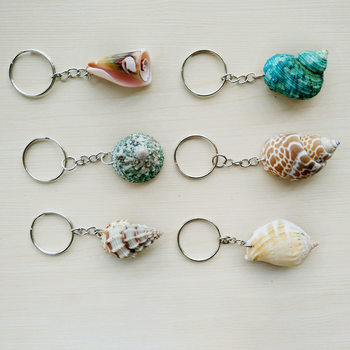 Natural Shell Conch Crafts Keychain Keyring Street Stall Hot-Selling Supply Pendant Ocean Element Pendant