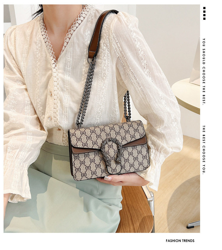 New Cross-Border Dionysus Bag Fashion Trend Retro Printed Chain Bag Popular Armpit Bag Cross-Body Shoulder Bag Women's Bag 1 O1CN01bpr7xv1IhF4TQSdgH !!2221129960924 0 cib