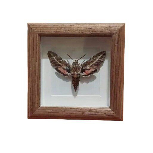 Cross-Border Handmade Hand-Painted Oil Pastel Framed Picture Frame Square Four-Square Grids Photo Frame Hollow Three-Dimensional Photo Frame Table Hanging Wall