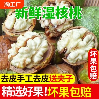 2024 Fresh Walnuts with Thin Green Skin for Pregnant Women to Remove Green Skin, Green Skin, Raw Wet Walnuts, Tender New Black Walnuts