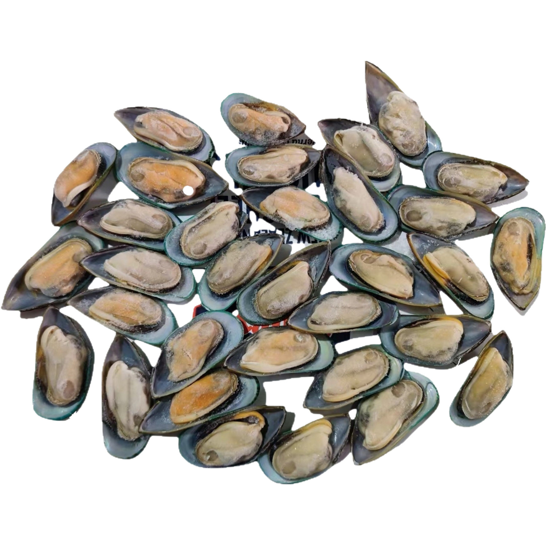 New Zealand Mussels, Half-Shelled Frozen, Imported, Full of Meat, Special for Catering and Hotel Western Food