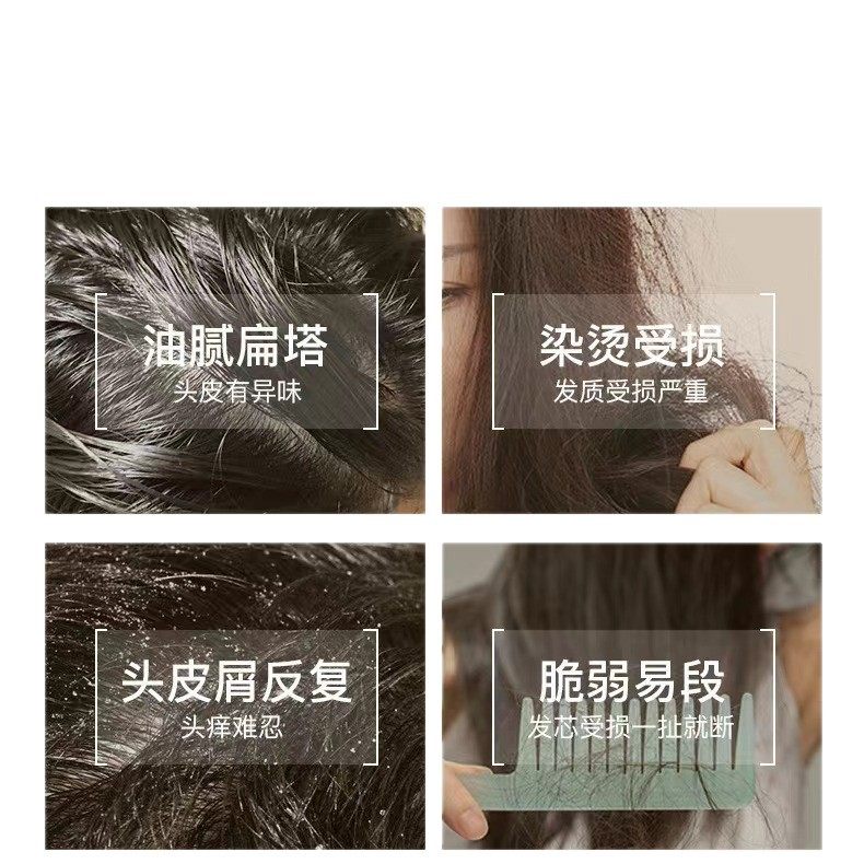 Wholesale Haishi Shampoo 400ml Refreshing Oil Removal Marine Vitality Silky Smooth Shampoo