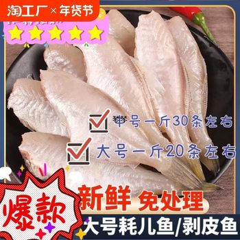 Medium and Large Fresh Eel, Peeled Fish, Frozen Eel, Commercial Wholesale Hot Pot Ingredients