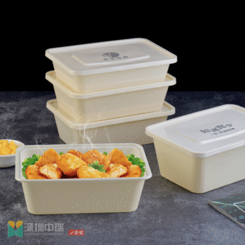 Disposable takeaway snack box degradable rectangular thickened pp plastic packing box a printable lunch box