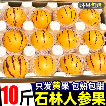 Shilin Pregnant Women's Yellow Fruit with Free Shipping, Seasonal Whole Box of Fresh 10 Yunnan Large Ginseng Fruits, Round Fruits