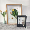 Three-Dimensional Hollow 7cm Storage Specimen Butterfly Insect Shell Handmade DIY Dried Flower Wooden Photo Frame Table Can Be Hung on the Wall