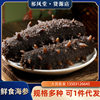 Qifengtang Fresh Sea Cucumber, High-Quality Dalian Liao Sea Cucumber, Ready-To-Eat Without Freezing, 450g, 6 Pieces, 8 Pieces, 10 Pieces, Fresh and Tender