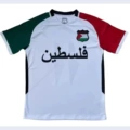 2425 Double Sleeve White Palestine