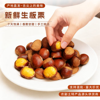 Fresh Chestnuts (30-40) Exported, Sweet and Glutinous Raw Chestnuts, Fresh Seasonal Chestnuts for Cross-Border Export