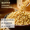 Zhujiang Bridge Gold Label Light Soy Sauce 1.9L Selected Soybean Brewed Soy Sauce for Home Cooking and Cold Dishes