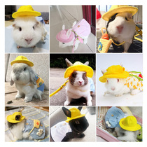 Pet Rabbit Clothing Accessories Rabbit Rabbit Dutch Pigs Small Cap Supplies Young Rabbit Cat Cat Dwarf Covetch Rabbit Special