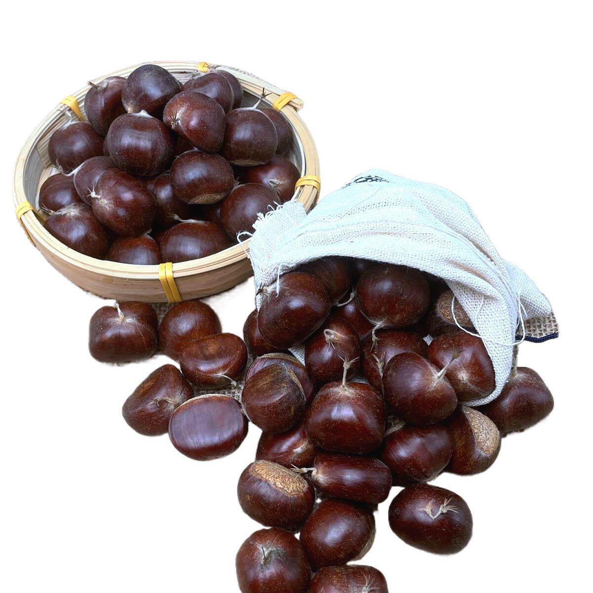 2025 Qianxi Fresh Wild Chestnuts with Skin, Yanshan Oil Capsules, Fresh Hairy Chestnuts from Zunhua, Small Sweet Chestnuts