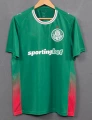 2627 palmeiras lord