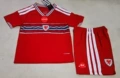 Kids' wales home kit set (branded)