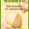 Wasabi Flavored Macadamia Nuts 2025 New Arrival Internet Celebrity Snack 500g Small Pack Casual Nuts Dried Nuts
