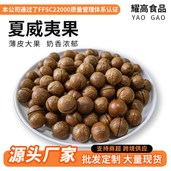 Wholesale New Large Particle Macadamia Nuts Creamy Nuts Macadamia Nuts Bulk Batch Dried Fruit Snacks