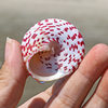 Little Red Tara Snail Pagoda Snail Aquarium Landscape Creative Gift Full Shipping Natural Conch Shell Red Spot Bell Snail