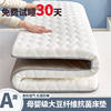 Four-Season Mattress Home Thickened Soft Cushion Student Dormitory Single and Double Memory Foam Sponge Mattress Mattress Bottom