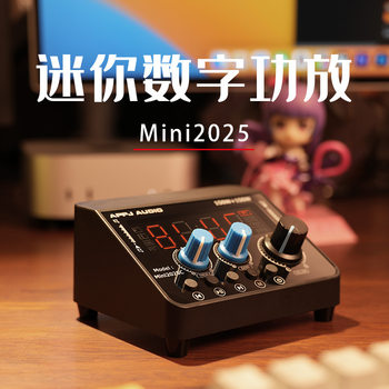 Mini2025 Bluetooth Power Amplifier Digital Power Amplifier Hifi Fever Audio U Disk Player High Power Low Power