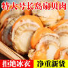 Extra Large Scallop Meat, Fresh Quick-Frozen Seafood with Yellow Ice Coating, Fresh Frozen Wild Vacuum Packaging, a Whole Box