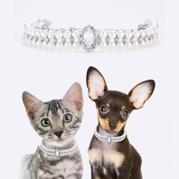 Zhous Pet Products Collar Traction Rope Collar Pearl Cat Necklace Medium and Small Dog Collar Neck Jewelry