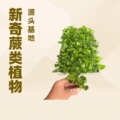 seller product image