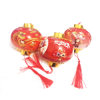 New year small lantern lucky year lantern Children DIY portable lantern light-emitting toy red lantern Lantern New Year festive