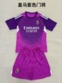 2526 real madrid purple goalkeeper