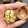 New Xinjiang Paper-Skinned Walnuts Wholesale Aksu Raw Walnuts 185 Walnuts Xinjiang Specialty Original Thin-Skinned Walnuts