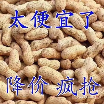 Roasted Peanuts with Peanut Skin, Stir-Fried Peanuts, Raw Peanuts, Original Flavor Peanuts, Shelled and Packaged