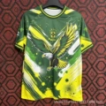 24-25 brazil eagle