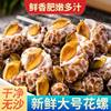 Flower Snails, Fresh Frozen Fresh Seafood Snails, Conch Fragrant Snails, Dongfeng Snails, Large Cat's Eye Snails, Frozen Flower Snails