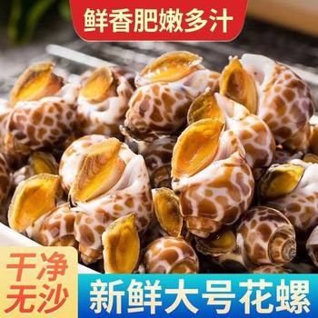 Flower Snails, Fresh Frozen Fresh Seafood Snails, Conch Fragrant Snails, Dongfeng Snails, Large Cat's Eye Snails, Frozen Flower Snails