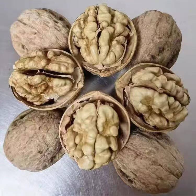 2 New products in the season Xinjiang 185 paper walnut primary color unbleached Aksu original paper walnut a generation of hair