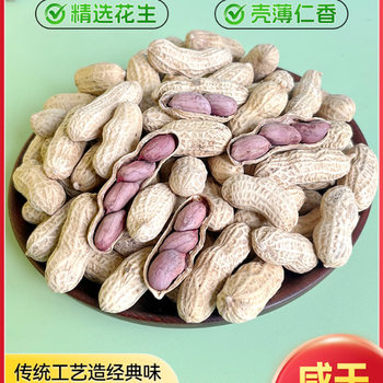 2024 New Longyan Peanut Boiled Peanut Natural White Sun Dried 500g Bags of Original Saline Salt Dried Zero Specialty