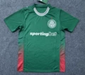 2627palmeiras home court