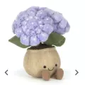 Hydrangea