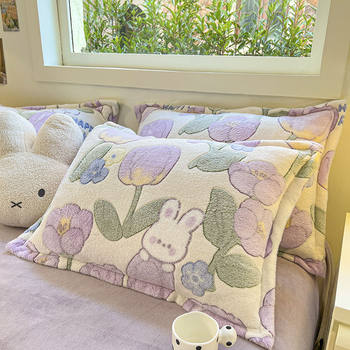 Autumn and Winter Milk Velvet Pillowcases Fleece-Lined Pair of Household Coral Velvet Single Pillow Set 48Cmx74Cm Single