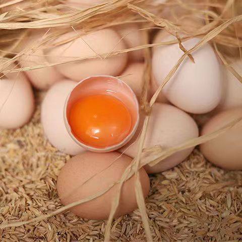 [35G-45G/Piece] Freshly Picked Pink-Shelled Eggs from Farm Mountain Forests, Free-Range Eggs, Fresh Cordyceps Eggs, 4-30 Pieces
