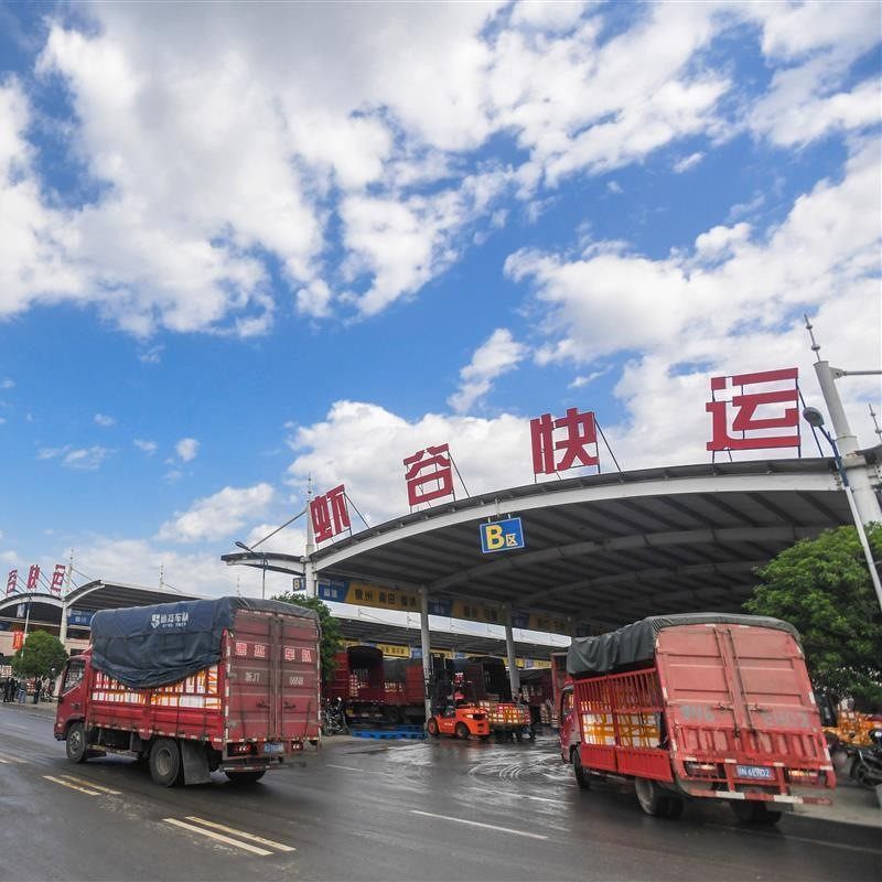 Live Crayfish, Fresh, Home-Grown Aquatic Products, Standard Qianjiang City Clear-Water Crayfish, Fresh and Live