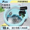 Chongshangtian Turtle Tank Comes with 2 Live Turtles, Brazilian Turtles, Chinese Tortoises, Kidsren's Pet Turtles, Black Turtles, Live Turtles