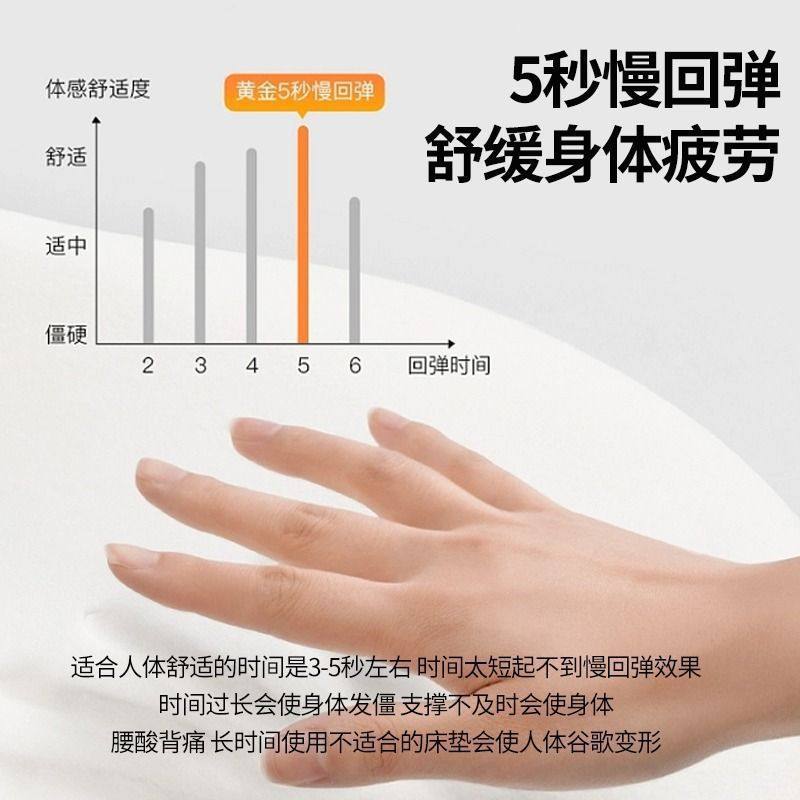 Latex Memory Foam Mattress Cover Soft Cushion Home Bedroom Thickened Tatami Sponge Mat Student Dormitory