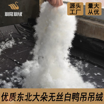 Down feather factory direct down quilt duck down quilt with high quality northeast big silkless white duck hanging down