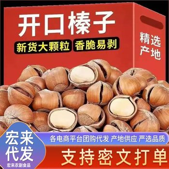 Wholesale of New Authentic Northeast Specialty Large Hazelnuts, Original Roasted Snacks, Roasted Nuts, and New Year Hazelnuts
