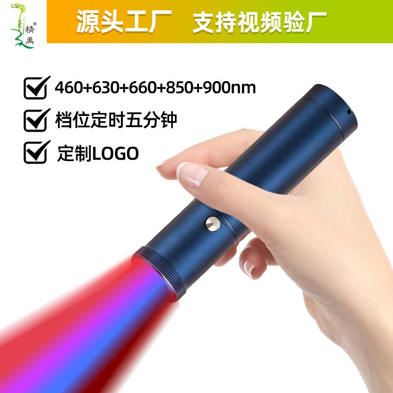 Cross-Border Direct Supply of Popular Nose and Ear Canal Soothing Lip and Oral Instrument, Blue Light Handheld Multi-Functional Red Light Flashlight
