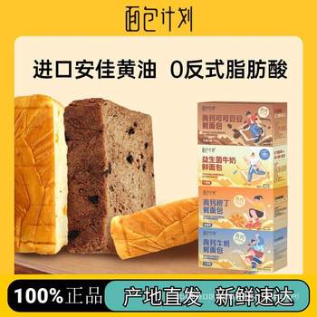 Bread Plan High Calcium Children's Milk Cocoa Thick-Cut Toast Bread Whole Box Breakfast Hand-Shred Bread Food 1