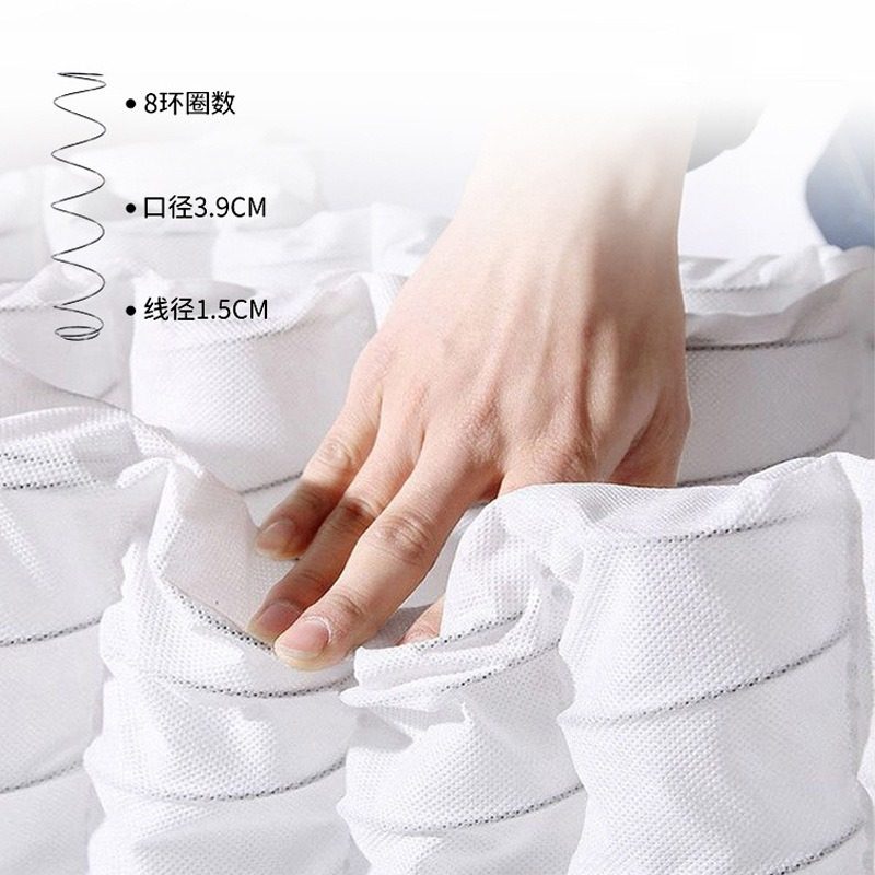 Londo Independent Pocket Spring Natural Latex Coconut Palm Spine Mattress Soft and Hard Dual-Use Hotel Economical