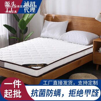 Mattress Hard Pad 1.8m 1.5m Coconut Palm Economical Type for Adults and Children Foldableing Dormitory Home Brown Pad Thin Wholesale